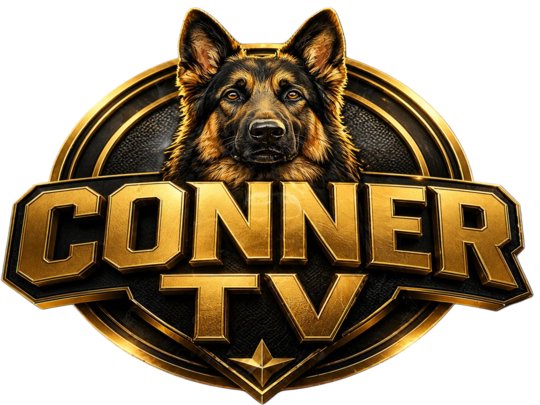 Logo Roku